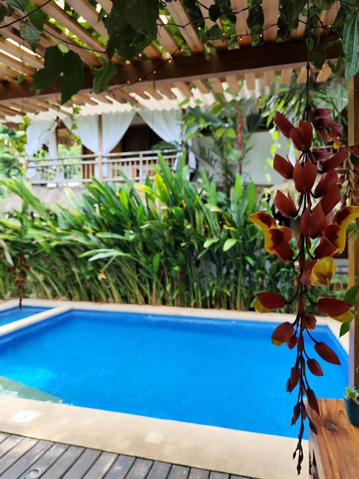 Puerto Viejo de Talamanca Black Bamboo מראה חיצוני תמונה